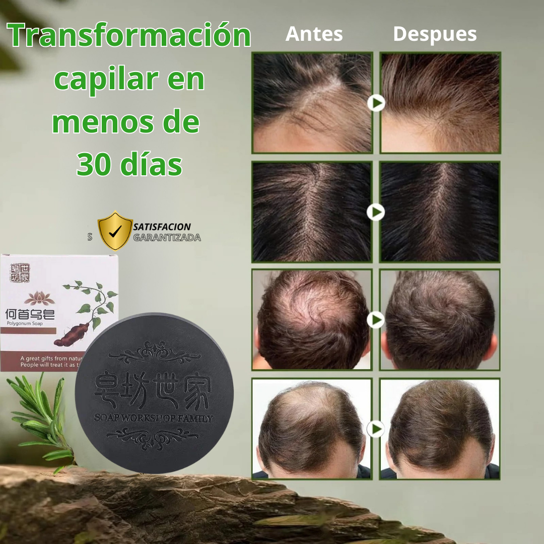 SHAMPOO EN BARRA EXTRACTO DE POLYGONUM ORIGINAL 🔥OFERTA 2X1 🤩