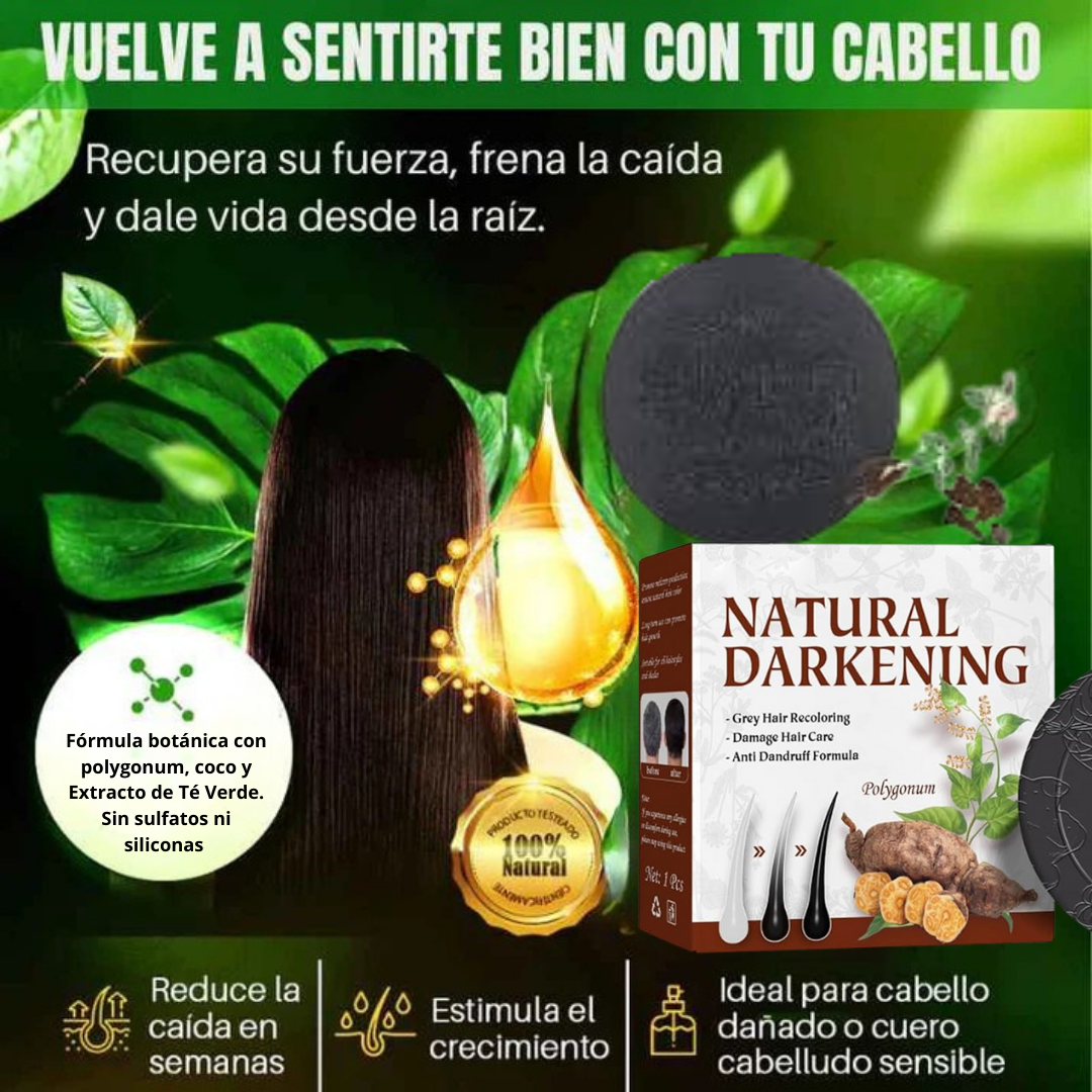 SHAMPOO EN BARRA EXTRACTO DE POLYGONUM ORIGINAL 🔥OFERTA 2X1 🤩