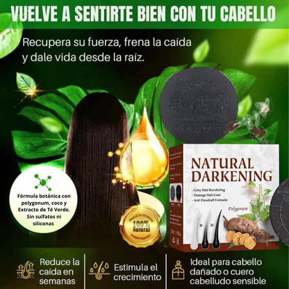 SHAMPOO EN BARRA EXTRACTO DE POLYGONUM ORIGINAL 🔥OFERTA 2X1 🤩