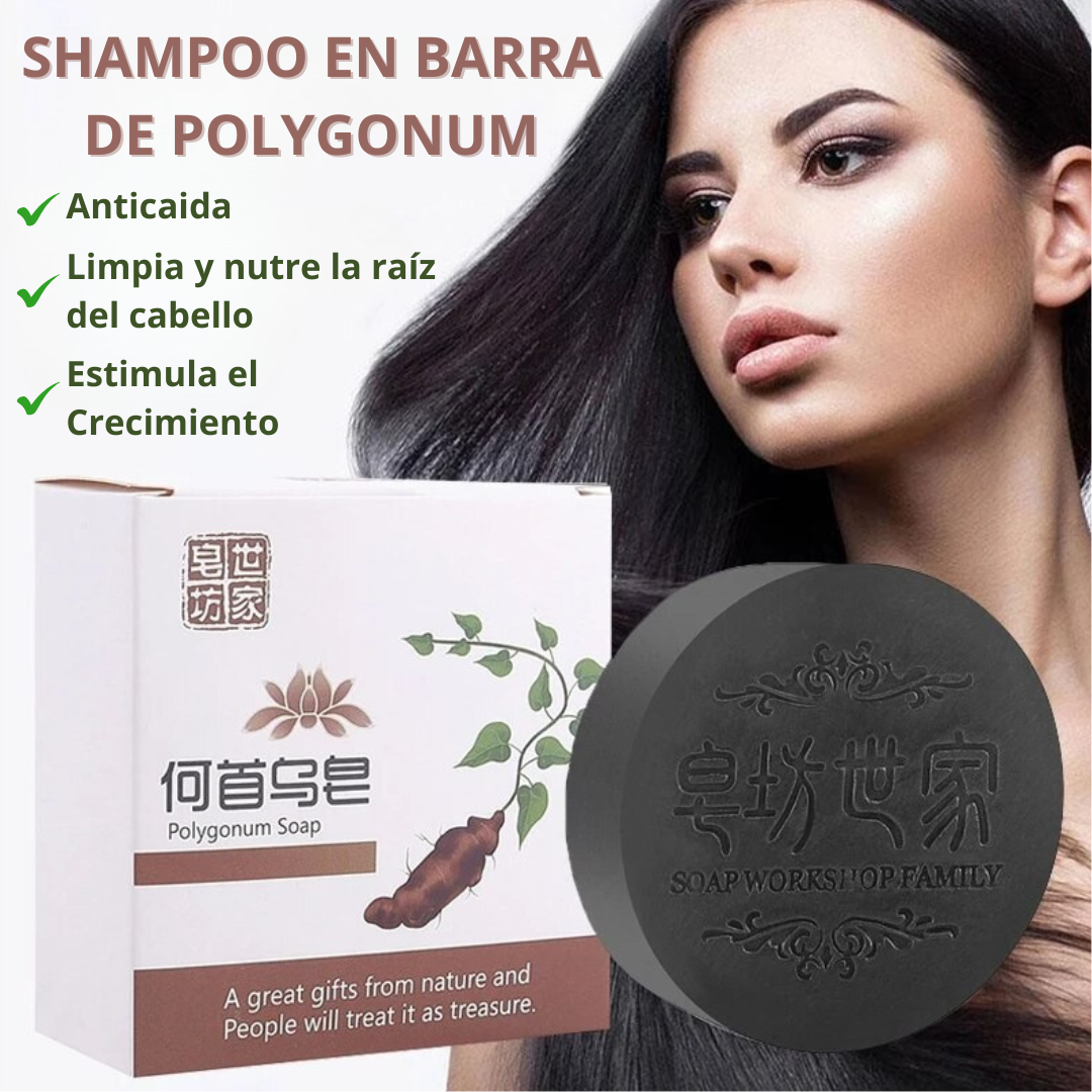 SHAMPOO EN BARRA EXTRACTO DE POLYGONUM ORIGINAL 🔥OFERTA 2X1 🤩