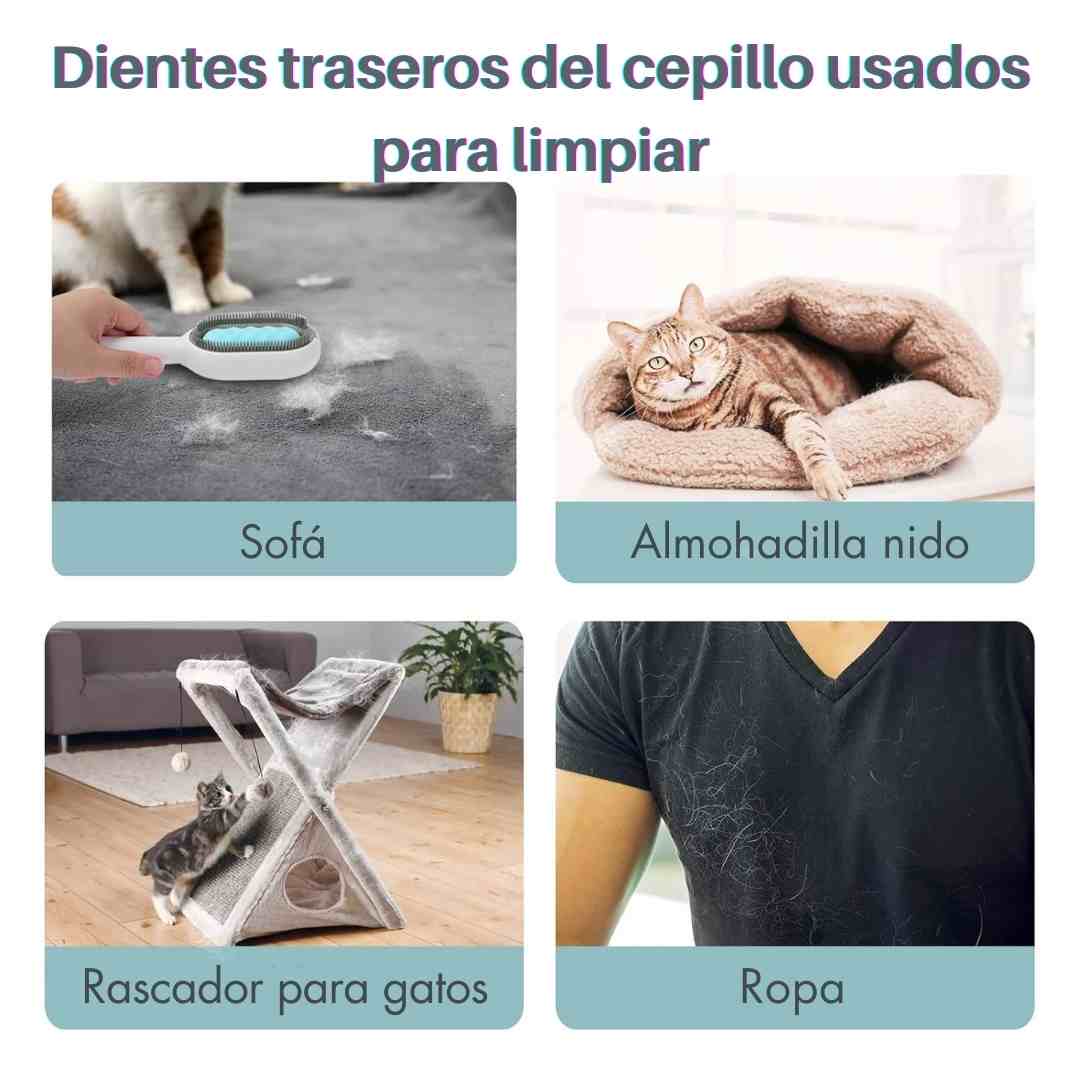 NUEVO CEPILLO MASAJEADOR Y REMOVEDOR DE PELOS 2 EN 1 🤩